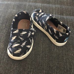 TOMS Shark Shoes GUC Size 6